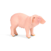 Fairy Garden Wild Pig